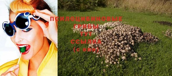 твердый Арсеньев