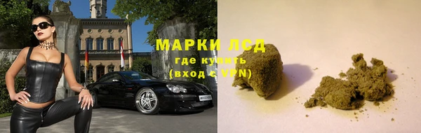 apvp Аркадак