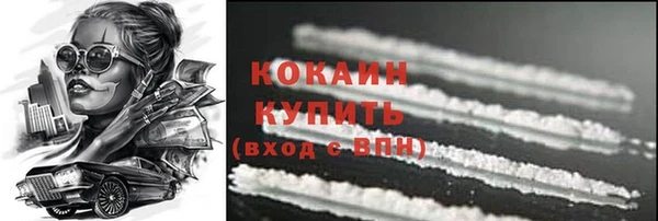 твердый Арсеньев