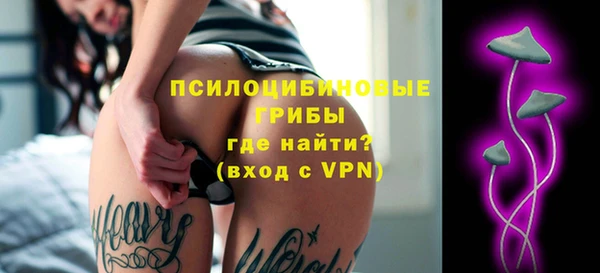 apvp Аркадак