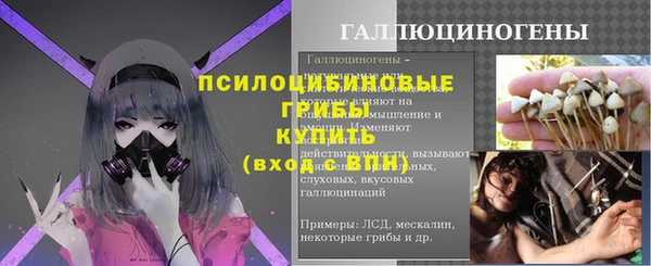 мяу мяу мука Армянск