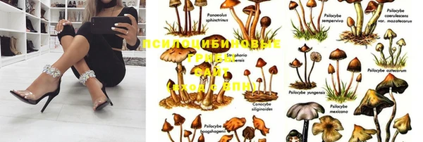 мяу мяу мука Армянск