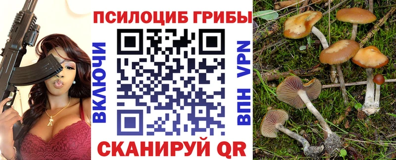 Галлюциногенные грибы Cubensis  что такое наркотик  Чебоксары 