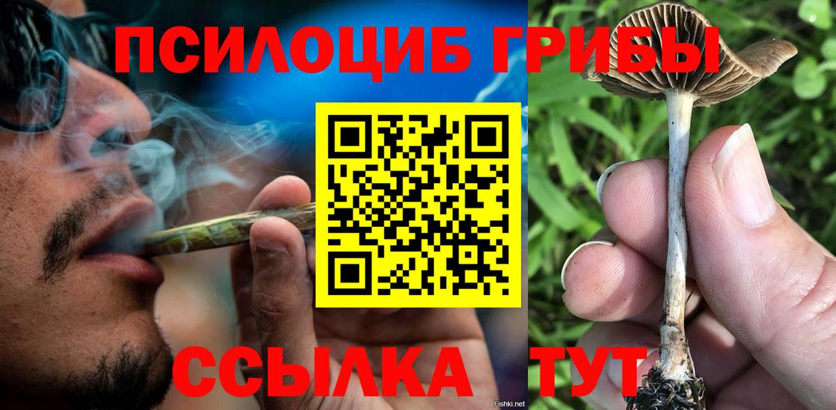 Галлюциногенные грибы GOLDEN TEACHER  Псилоцибиновые грибы ЛСД  Вход с VPN  Чебоксары 